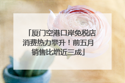 厦门空港口岸免税店消费热力攀升！前五月销售比增近三成