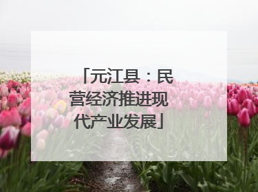 元江县：民营经济推进现代产业发展