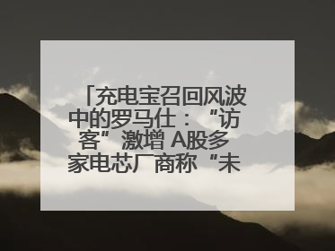 充电宝召回风波中的罗马仕：“访客”激增 A股多家电芯厂商称“未供货”