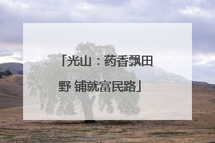 光山：药香飘田野 铺就富民路