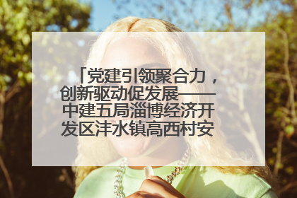 党建引领聚合力，创新驱动促发展——中建五局淄博经济开发区沣水镇高西村安置项目建设纪实