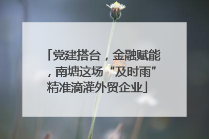 党建搭台，金融赋能，南塘这场“及时雨”精准滴灌外贸企业