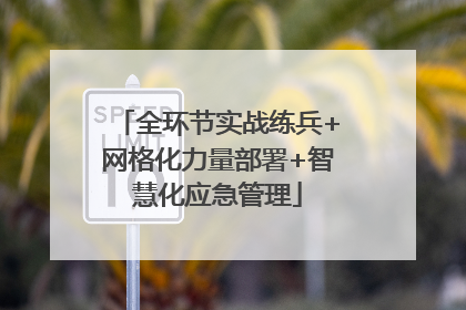 全环节实战练兵+网格化力量部署+智慧化应急管理
