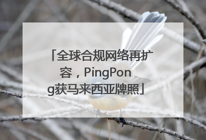 全球合规网络再扩容，PingPong获马来西亚牌照