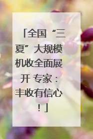 全国“三夏”大规模机收全面展开 专家：丰收有信心！