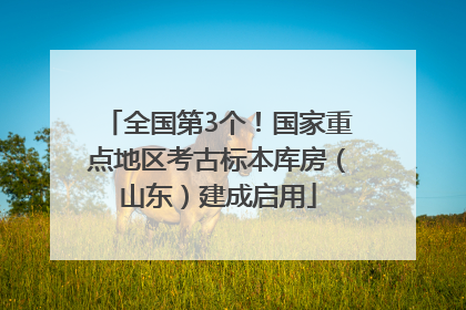 全国第3个！国家重点地区考古标本库房（山东）建成启用