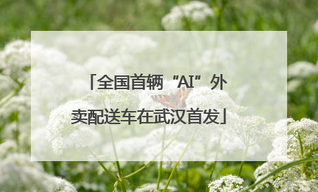 全国首辆“AI”外卖配送车在武汉首发