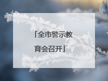 全市警示教育会召开