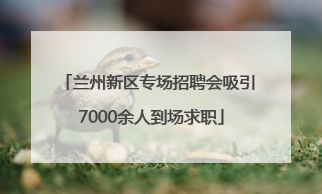 兰州新区专场招聘会吸引7000余人到场求职