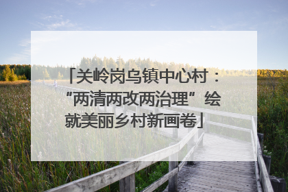 关岭岗乌镇中心村：“两清两改两治理”绘就美丽乡村新画卷