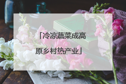 冷凉蔬菜成高原乡村热产业