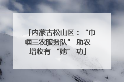 内蒙古松山区：“巾帼三农服务队” 助农增收有 “她” 功