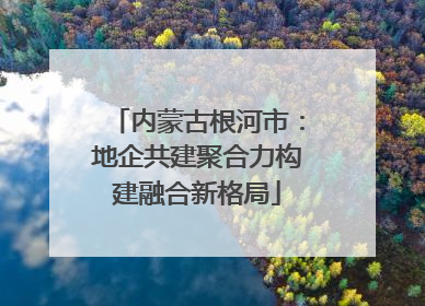内蒙古根河市：地企共建聚合力构建融合新格局