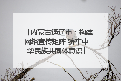 内蒙古通辽市：构建网络宣传矩阵 铸牢中华民族共同体意识
