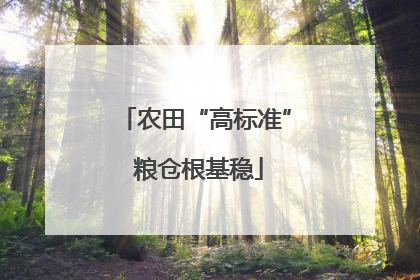 农田“高标准” 粮仓根基稳