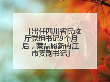 出任四川省民政厅党组书记9个月后，蔡磊履新内江市委副书记