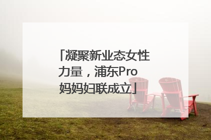 凝聚新业态女性力量，浦东Pro妈妈妇联成立