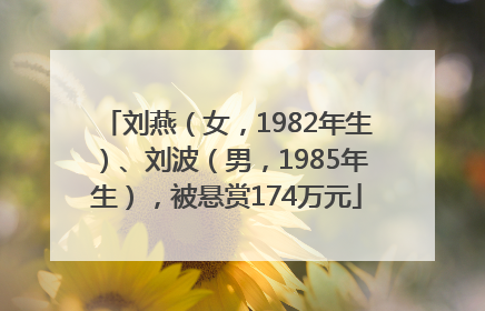 刘燕（女，1982年生）、刘波（男，1985年生），被悬赏174万元
