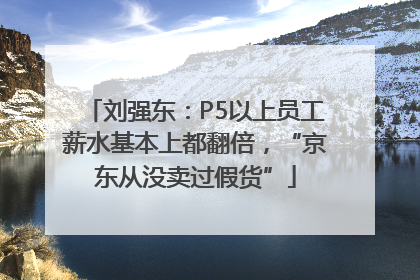 刘强东：P5以上员工薪水基本上都翻倍，“京东从没卖过假货”