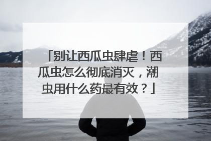 别让西瓜虫肆虐！西瓜虫怎么彻底消灭，潮虫用什么药最有效？