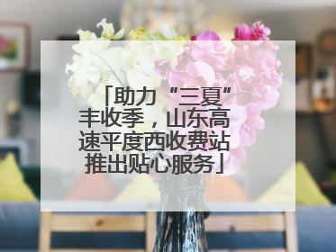 助力“三夏”丰收季，山东高速平度西收费站推出贴心服务