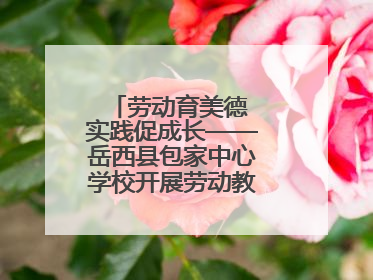 劳动育美德 实践促成长——岳西县包家中心学校开展劳动教育实践活动