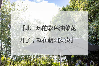 北三环的彩色油菜花开了，就在朝阳安贞