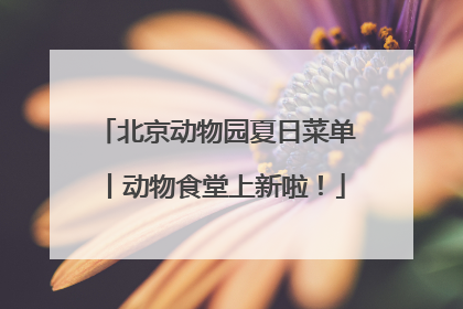 北京动物园夏日菜单丨动物食堂上新啦！