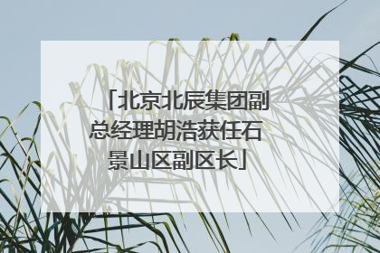 北京北辰集团副总经理胡浩获任石景山区副区长