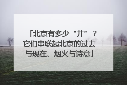 北京有多少“井”？它们串联起北京的过去与现在、烟火与诗意