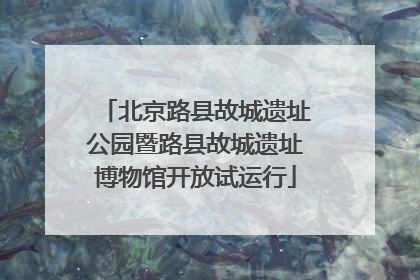 北京路县故城遗址公园暨路县故城遗址博物馆开放试运行