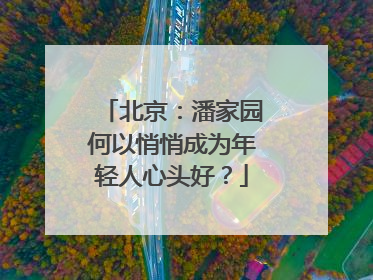 北京：潘家园何以悄悄成为年轻人心头好？