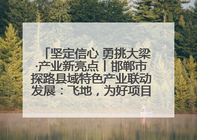 坚定信心 勇挑大梁·产业新亮点丨邯郸市探路县域特色产业联动发展：飞地，为好项目跨域安个家