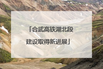合武高铁湖北段建设取得新进展