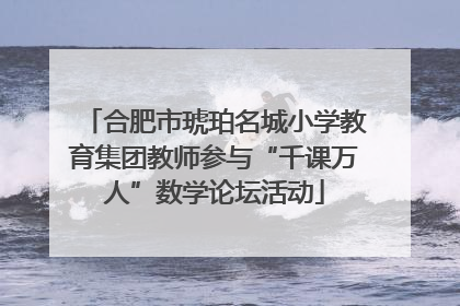 合肥市琥珀名城小学教育集团教师参与“千课万人”数学论坛活动
