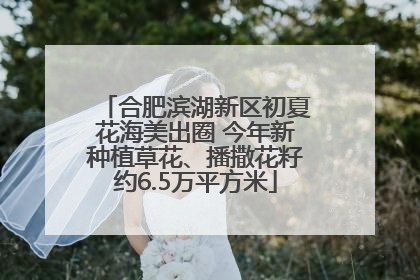 合肥滨湖新区初夏花海美出圈 今年新种植草花、播撒花籽约6.5万平方米