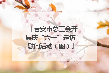 吉安市总工会开展庆“六一”走访慰问活动（图）