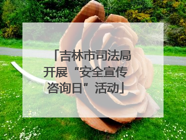 吉林市司法局开展“安全宣传咨询日”活动