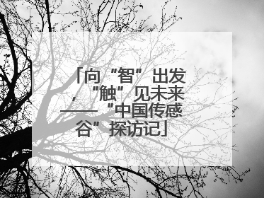 向“智”出发，“触”见未来——“中国传感谷”探访记