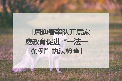 周迎春率队开展家庭教育促进“一法一条例”执法检查