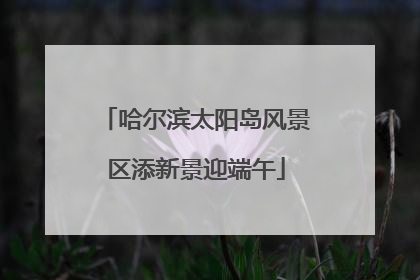 哈尔滨太阳岛风景区添新景迎端午