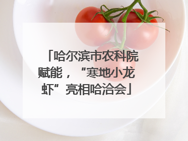 哈尔滨市农科院赋能，“寒地小龙虾”亮相哈洽会