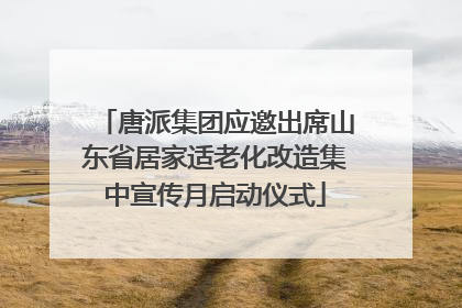 唐派集团应邀出席山东省居家适老化改造集中宣传月启动仪式