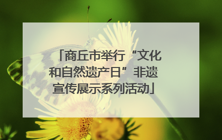 商丘市举行“文化和自然遗产日”非遗宣传展示系列活动