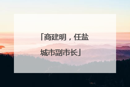商建明，任盐城市副市长
