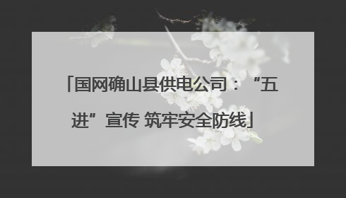 国网确山县供电公司：“五进”宣传 筑牢安全防线