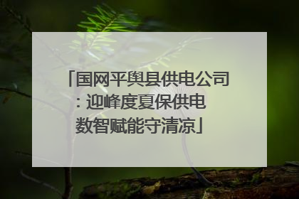 国网平舆县供电公司：迎峰度夏保供电  数智赋能守清凉