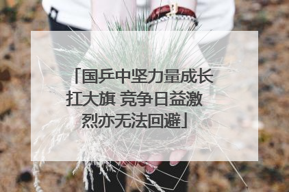 国乒中坚力量成长扛大旗 竞争日益激烈亦无法回避