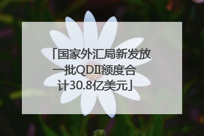 国家外汇局新发放一批QDII额度合计30.8亿美元