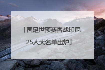 国足世预赛客战印尼25人大名单出炉